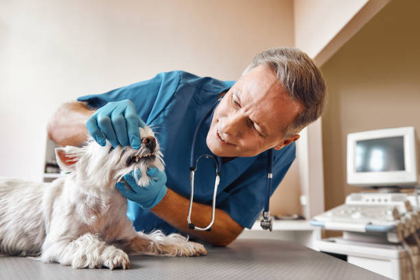 Best Same-Day Emergency Dental Services in Barnesville, GA